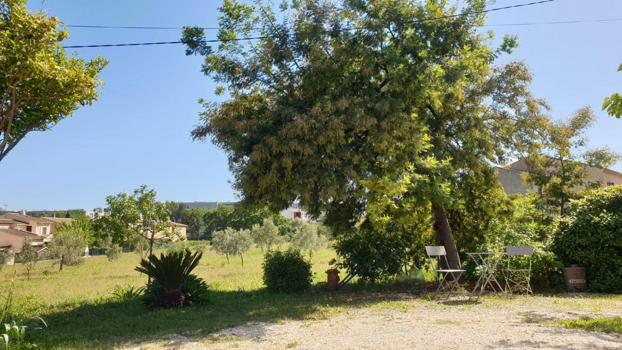 L'Oliveraie Hyères Kültér fotó