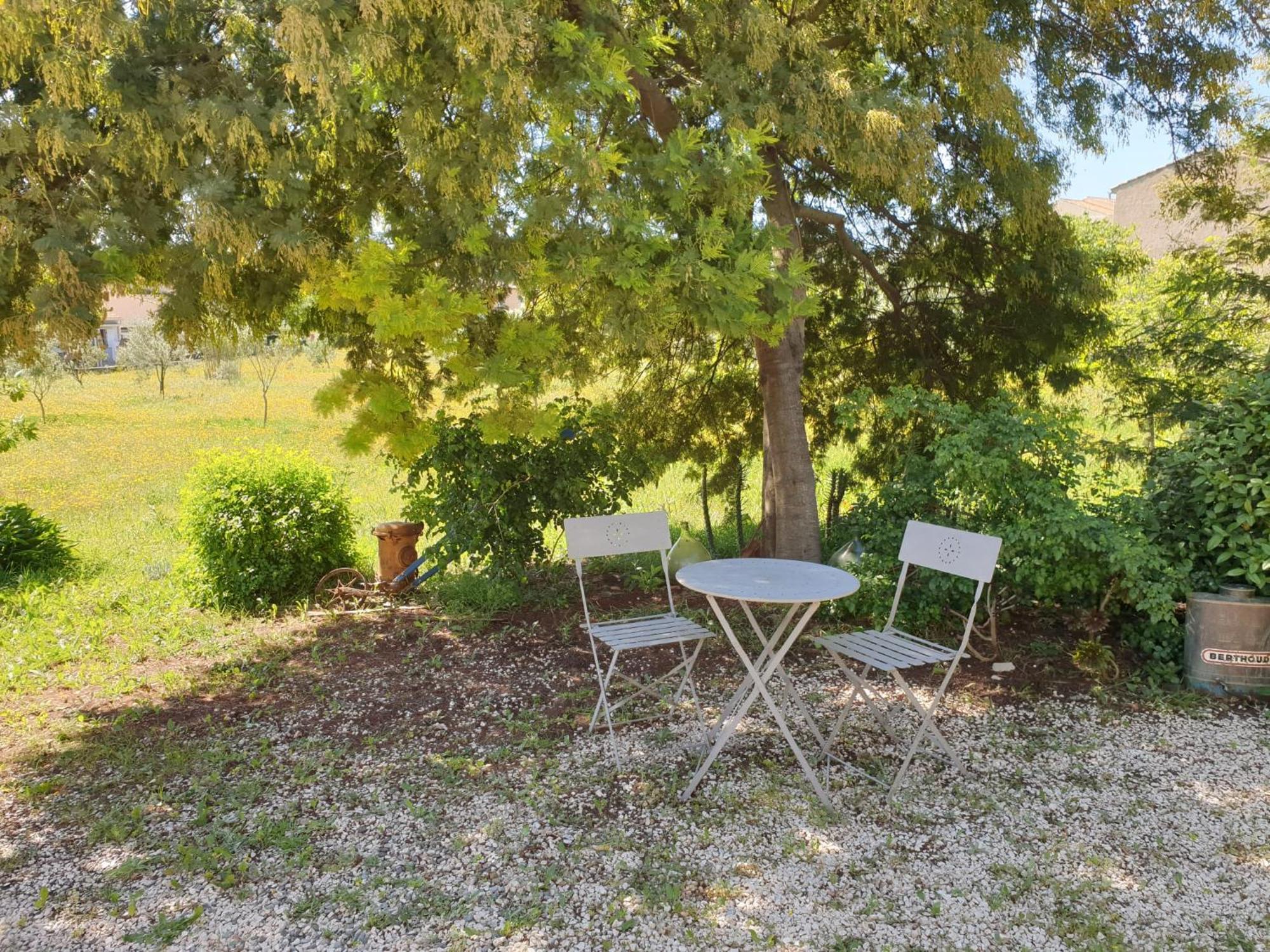 L'Oliveraie Hyères Kültér fotó
